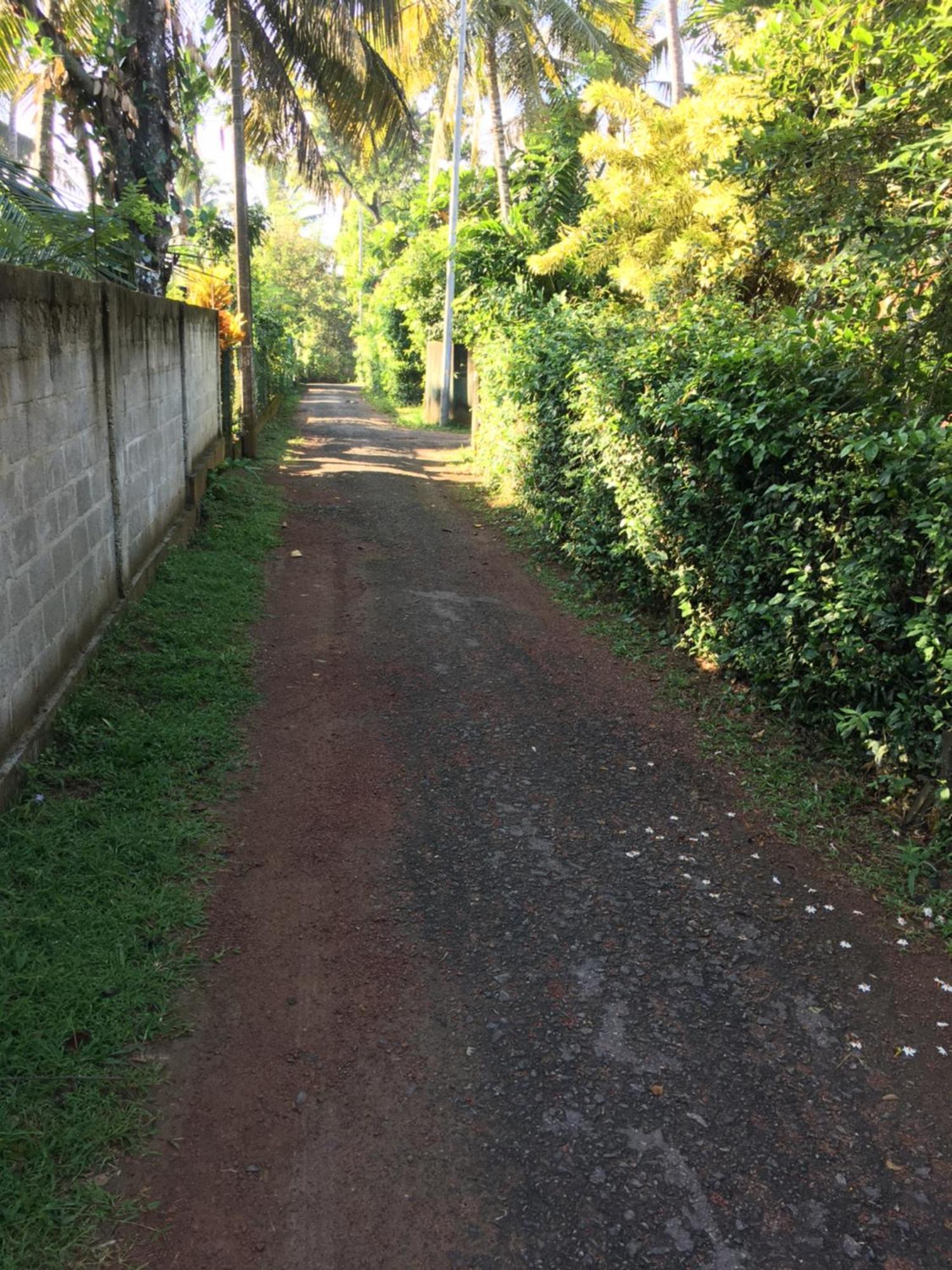Katunayaka Bosadi Homestay מראה חיצוני תמונה